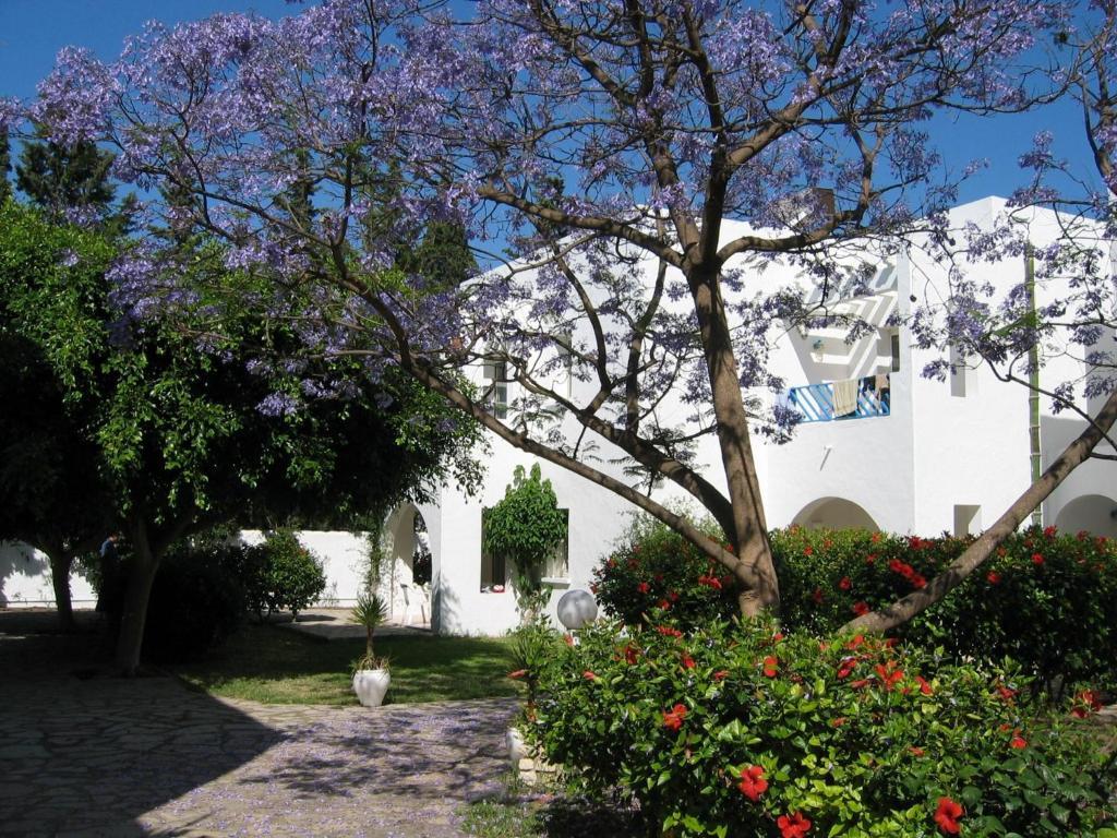 Hotel Residence La Paix Hammamet Exteriör bild