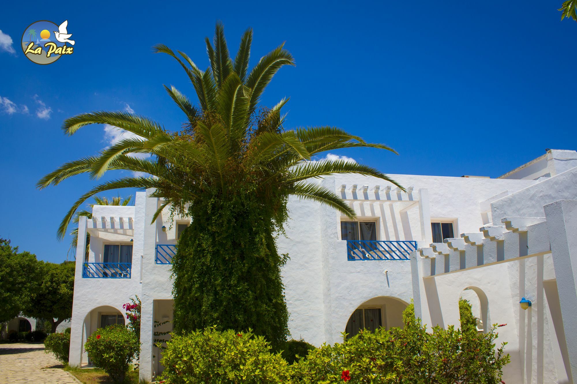 Hotel Residence La Paix Hammamet Exteriör bild