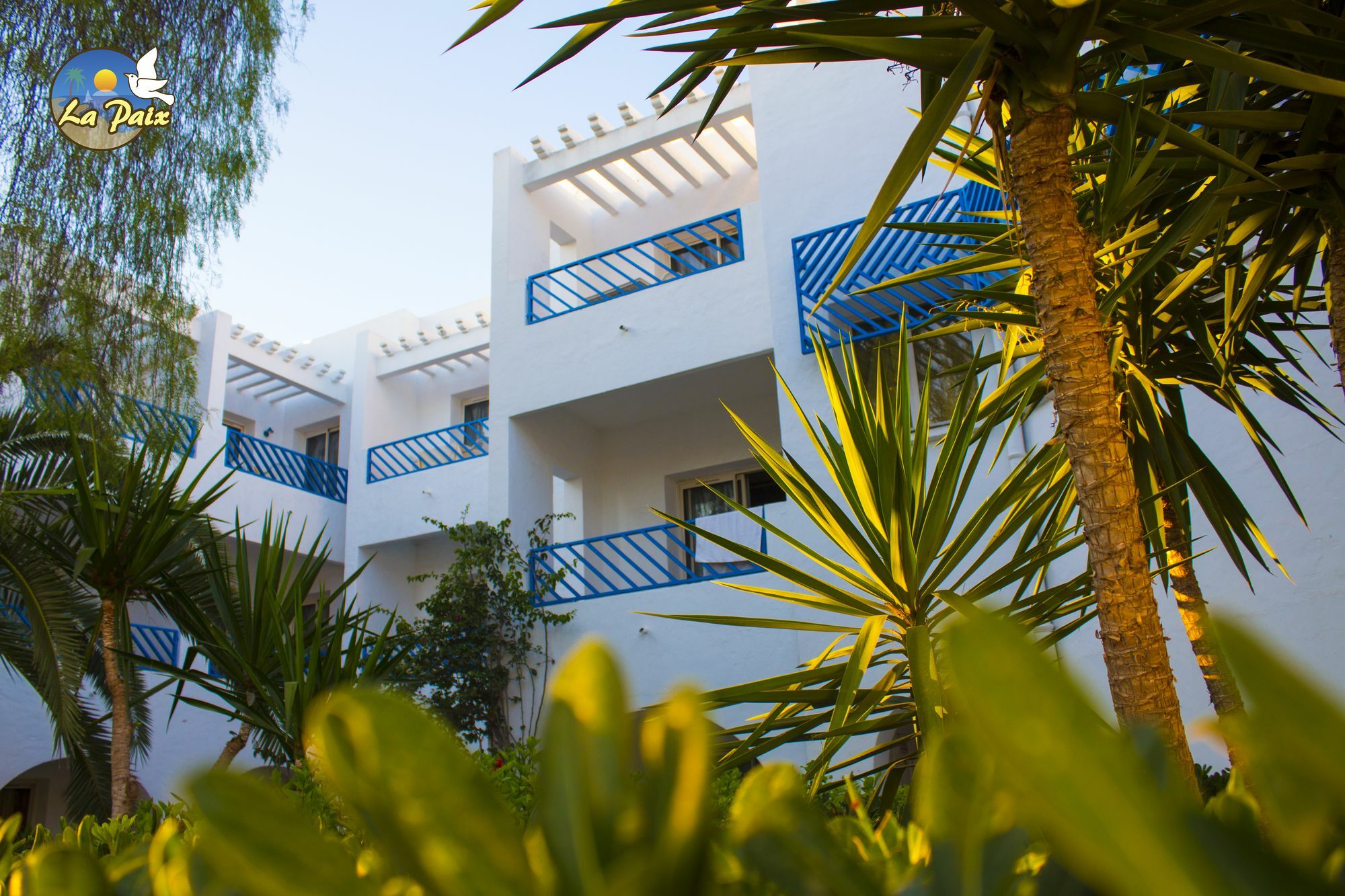 Hotel Residence La Paix Hammamet Exteriör bild